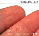 Huellas digitales